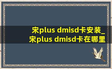 宋plus dmisd卡安装_宋plus dmisd卡在哪里